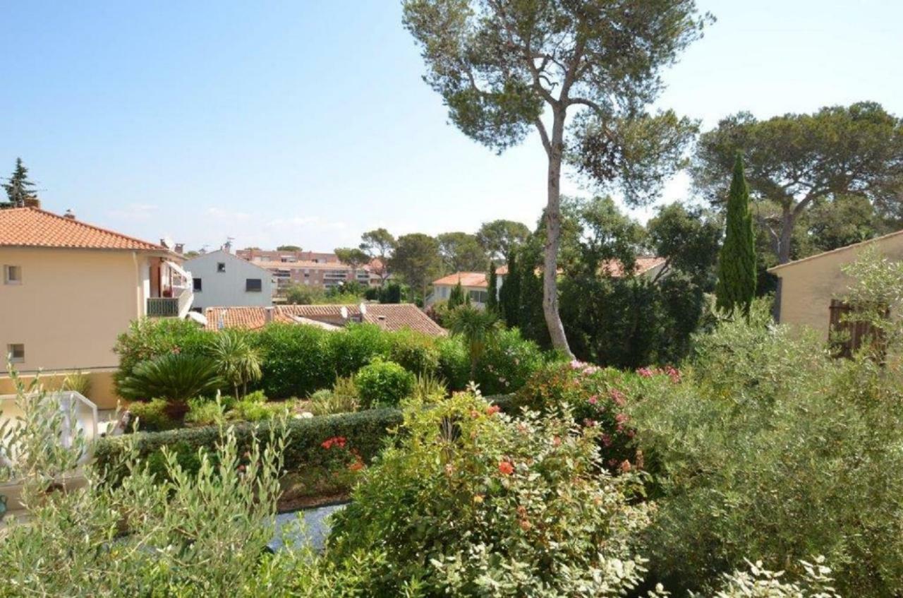Pins Parasol Appartement Fréjus